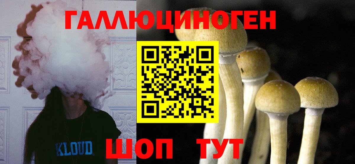 Галлюциногенные грибы GOLDEN TEACHER Гусев
